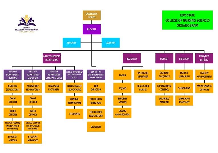 cns-organogram